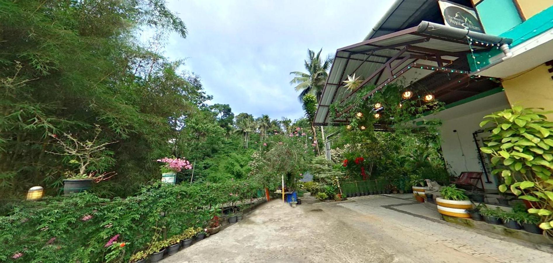 Wayanad Royal Stream Bed and Breakfast Kalpatta Buitenkant foto