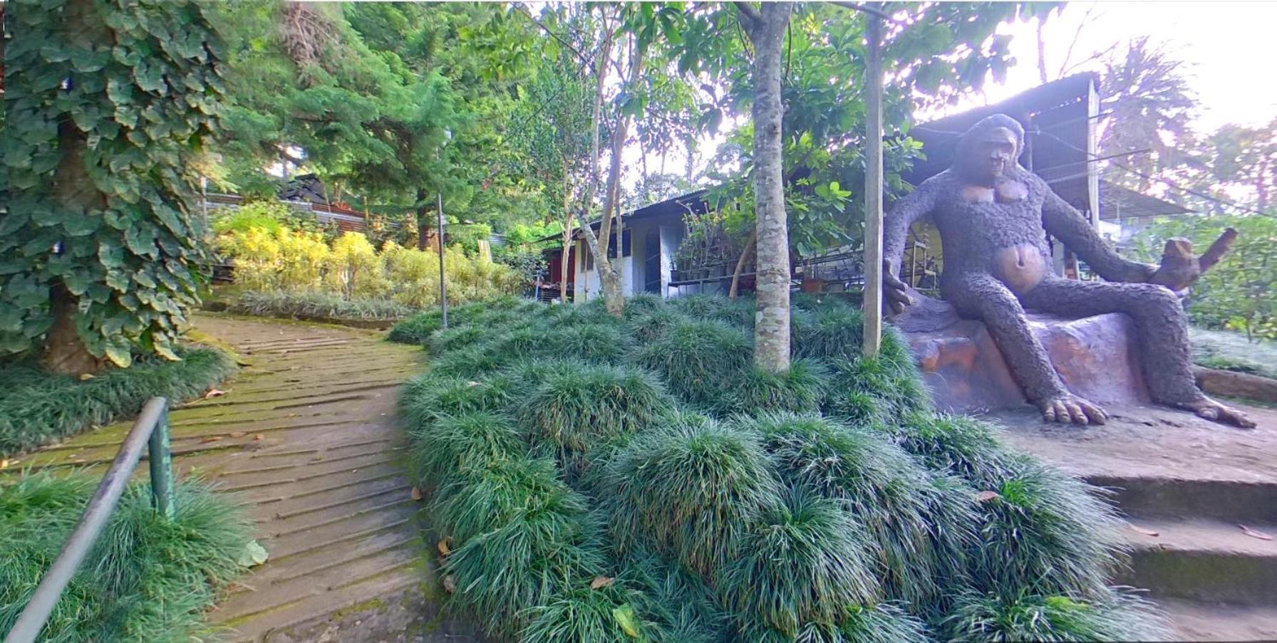 Wayanad Royal Stream Bed and Breakfast Kalpatta Buitenkant foto