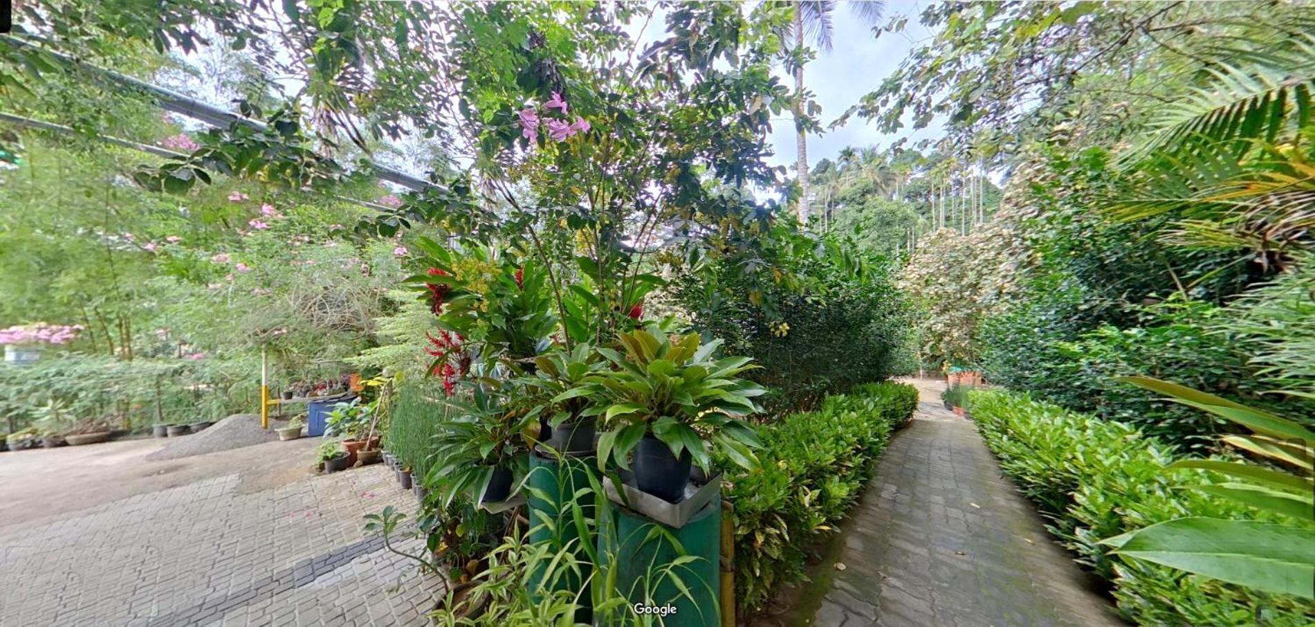 Wayanad Royal Stream Bed and Breakfast Kalpatta Buitenkant foto
