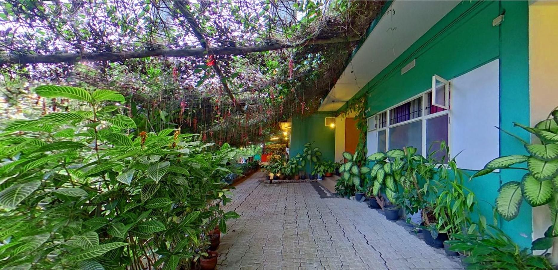 Wayanad Royal Stream Bed and Breakfast Kalpatta Buitenkant foto