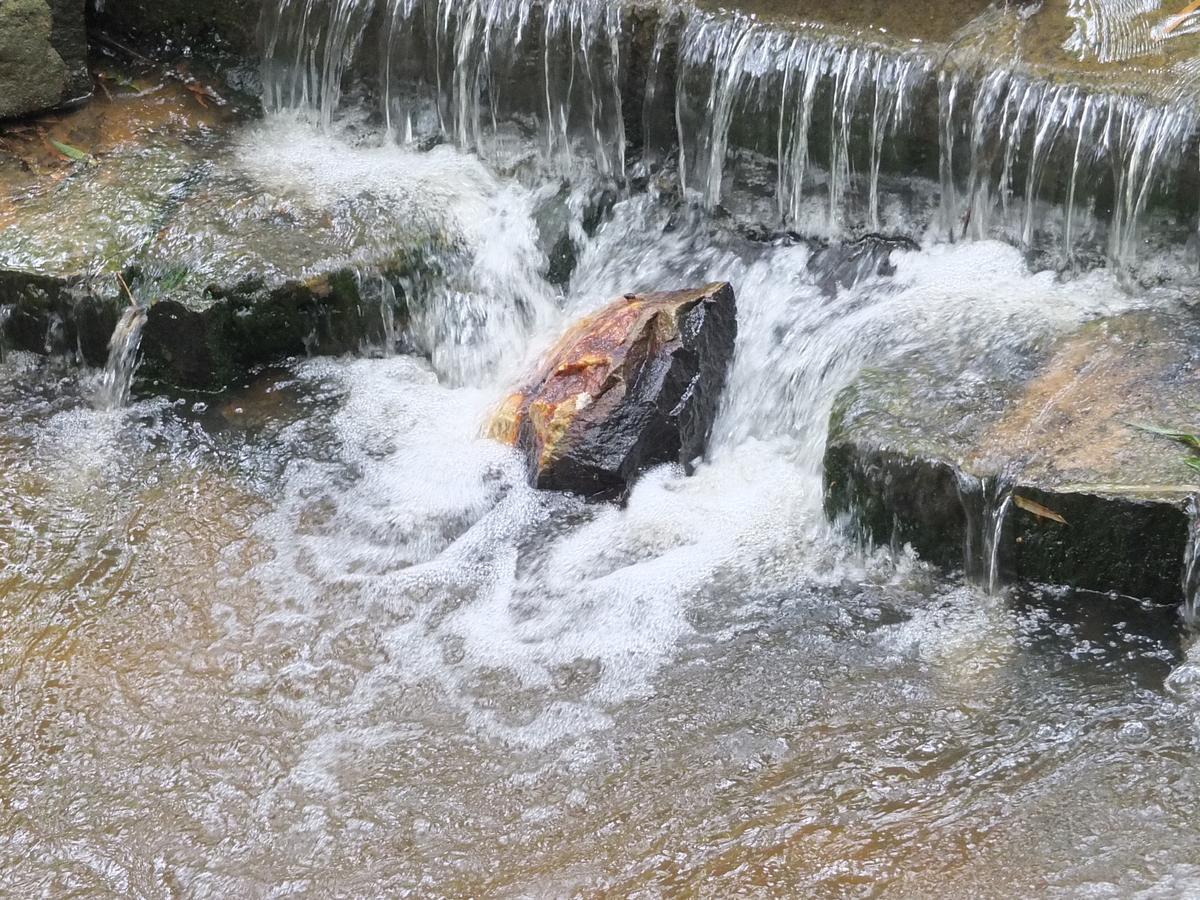 Wayanad Royal Stream Bed and Breakfast Kalpatta Buitenkant foto